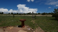 80-Condesa-Bird-Bath-FZ80-08-01-2022-P1010122