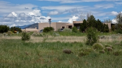 80-Condesa-Desert-Willows-FZ80-08-01-2022-P1010122