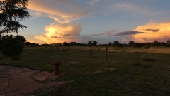 80-Condesa-Sunset-FZ80-08-02-2022-P1010157