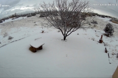 Backyard-Cam-01-01-2022