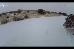 Decent-Snow-02-17-2022