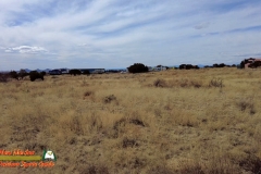 Sky-Railway-Pocket2-04-04-2022-mpv-shot0001