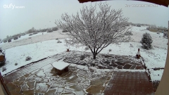 Snow-11-14-2022