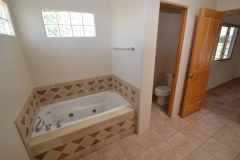Master-Bath-1