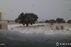 First Snow of the Winter