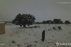 Snow-11-12-2018