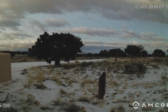 Snow-12-01-2018At least a wiff.