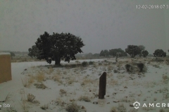 Snow-12-02-2018