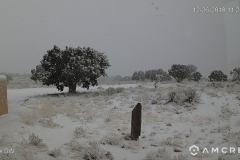 Snow-12-26-2018