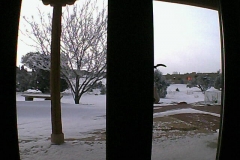 Snow-12-29-2018