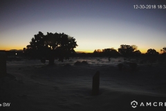 Snow-12-30-2018