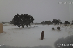 Snow-01-01-2019