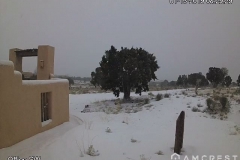 Snow-01-13-2019