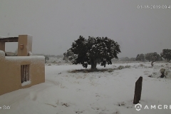 Snow-01-18-2019