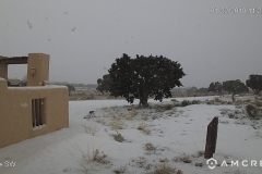 Snow-01-22-2019