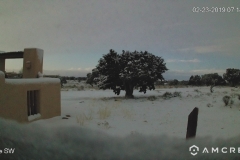 Snow-02-23-2019