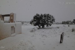 Snow-11-21-2019