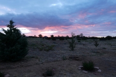 80-Condesa-Sunrise-Lumix-FZ80-07-23-2020-P1000597