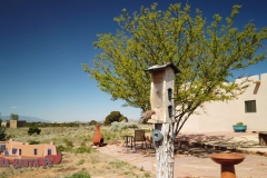 Bird-Feeder-Osmo-Pocket-05-15-2020