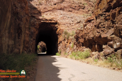 Gilman-Tunnels-Osmo-Pocket-05-28-2020