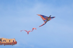 Kites-Condesa-FZ80-05-06-2020