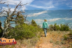 Paulette-Lamy-Overlook-West-Trail-301-Osmo-Pocket-05-23-2020-Pcomposed