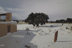 Snow-02-11-2020