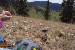 Ski-Santa-Fe-Fall-Activities-September-2021-Pocket2-mpv-shot0003