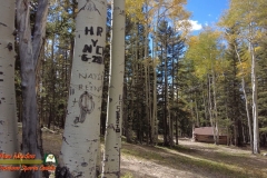 Ski-Santa-Fe-Fall-Activities-September-2021-Pocket2-mpv-shot0004