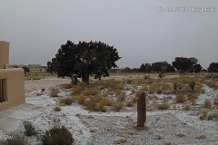 Snow-01-19-2021