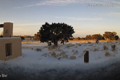 Snow-02-15-2021