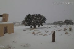 Snow-02-16-2021