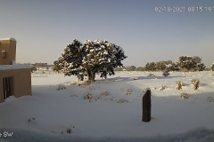 Snow-02-18-2021-later