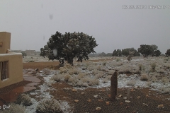 Snow-03-22-2021