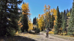 Chama-Train-FZ2500-10-05-2023-Pat-mpv-shot0007