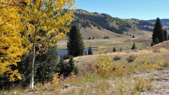 Chama-Train-FZ2500-10-05-2023-mpv-shot0004