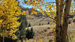 Chama-Train-FZ2500-10-05-2023-mpv-shot0005