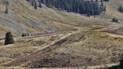 Chama-Train-FZ2500-10-05-2023-mpv-shot0011