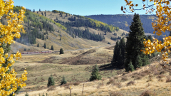 Chama-Train-FZ2500-10-05-2023-mpv-shot0012