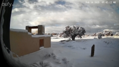 Snow-February-2023