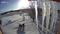 Snow-Icycles-February-Morning-2023