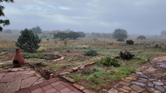 Foggy-Morning-2-Pocket3-06-22-2024