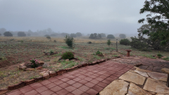 Foggy-Morning-4-Pocket3-06-22-2024