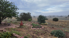 Foggy-Morning-5-Pocket3-06-22-2024