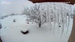 Snow-11-07-2024