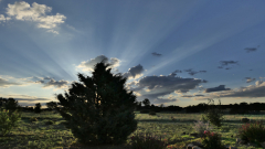 Sunrise-FZ2500-08-12-2024