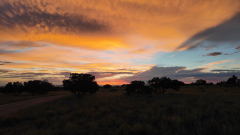 cap_DJI_20240827194509_0001_D_000059_01