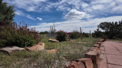 cap_DJI_20240901132215_0001_D_000017_01