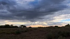 80-Condesa-Sunset-AcePro2-08-17-2025-VID_20250817_190343_006_000002_01