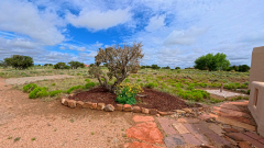 Columbine-AcePro2-06-25-2025-IMG_20250625_101706_001